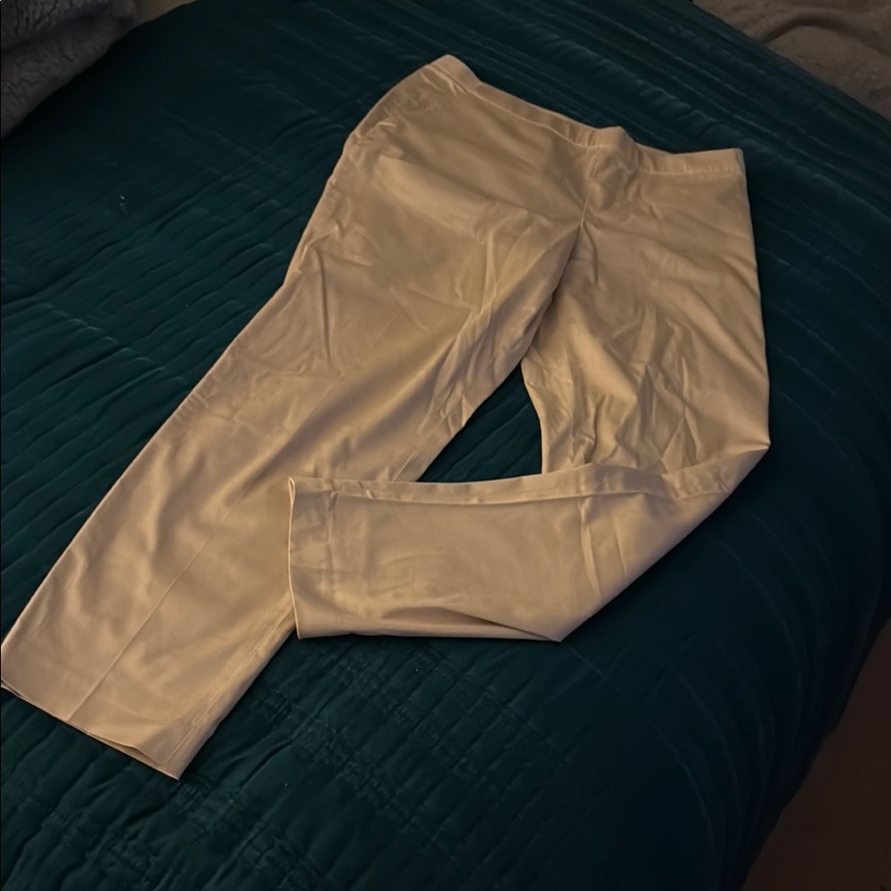 Uniqlo Elegant Beige Pants